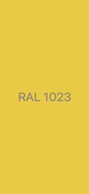 RAL 1023