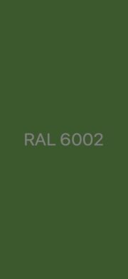 RAL 6002